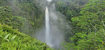Akaka Falls, Hawaii (The Big Island), Waterfall, Mist, Green, Hawaii, Forest, Akaka, Island HD wallpaper