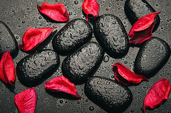 Red & Black, rose, black, petals, red, drops, stones HD wallpaper