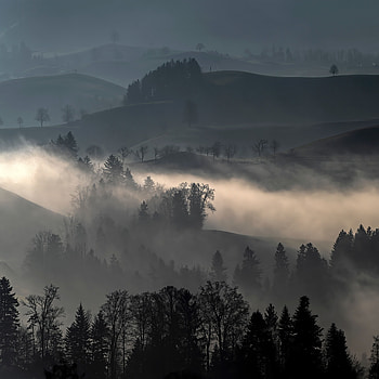 Landscape, Nature, Trees, Fog, Hills HD phone wallpaper