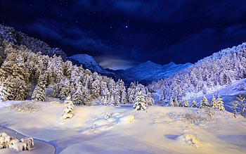 Landscape, Winter, Nature, Trees, Snow HD wallpaper