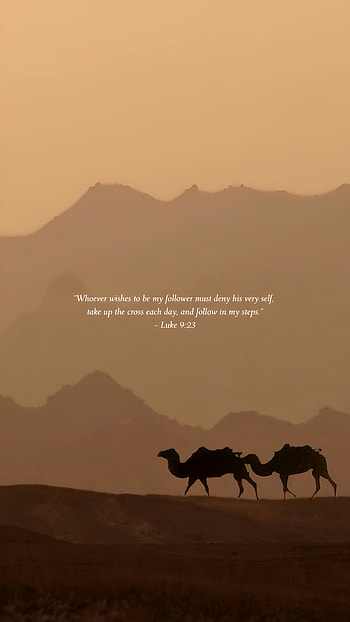 Lenten Steps: Follow His Way with Desert Camels, religious, lent, quote, desert HD phone wallpaper