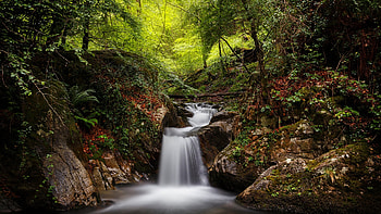 Forest Stream Waterfall, Navarre, Spain, trees, river, rocks, cascade, stones HD wallpaper