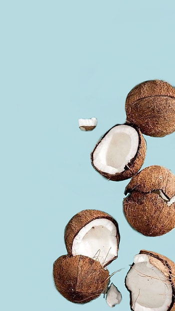 Coconut, Pinterest inspiration, Creative designs, Tropical feel HD phone wallpaper
