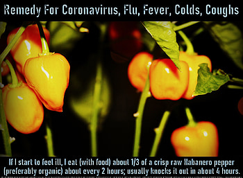 Remedy For Coronavirus, Flu, Fever, Colds, Coughs 2, health, home remedies, faith, pandemic, chills, coughs, hot peppers, fever, illness, quarantine, coronavirus, healing, sweats, sick, virus, well-being, sniffles, retired, very effective, miracles, COVID-19, supernatural, colds, religious, seniors, wisdom, safe, spiritual, sinusitus, flu, hope, peace, natural, fitness, love HD wallpaper