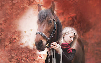 Autumn Life, autumn, cowgirls, horses, blondes HD wallpaper
