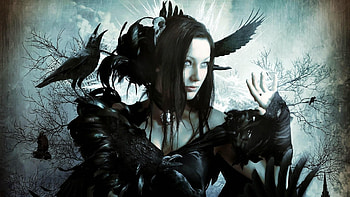 The...'Raven Witch', raven, gothic, bird, witch HD wallpaper
