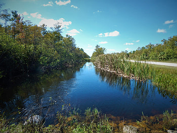 Everglades National Park, Memorable day trip, Nature exploration, Florida's gem HD wallpaper