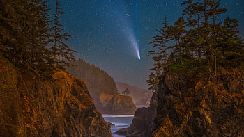 Coast Stars Scenery Oregon Night Trees , trees, nature, stars HD wallpaper