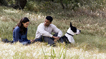 Seven Pounds, Redemption quest, Life-changing acts, Emotional journey HD wallpaper
