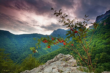 mountain view, bulgaria, red, beauty, mountain HD wallpaper