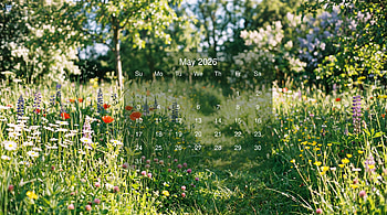 May 2026 Meadow Calendar —, May 2026 Calendar HD wallpaper