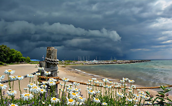 * Beautiful ocean view *, ocen, sky, nature, flowers HD wallpaper