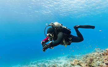Coral reef paradise, Extreme water sport, Marine biology wonders, Underwater beauty HD wallpaper
