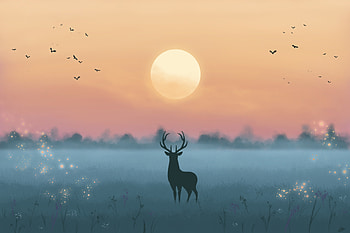 Art, Night, Moon, Silhouette, Deer HD wallpaper