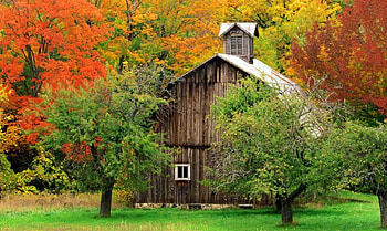 Wooden cottage in autumn mountain, wooden, house, fall, colors, beautiful, grass, lonely, mountain, trees, autumn, cottage, lovely, forest, foliage HD wallpaper
