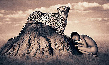 Devotion, white, black, boy, stone, clouds, desert, sky, cheetah HD wallpaper