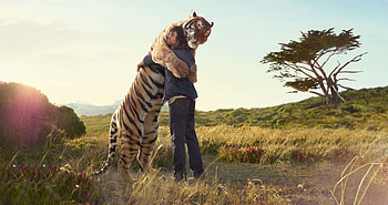 Animals, People, Tigers HD wallpaper