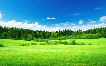 Nature landscape, Green grass and clouds, Tranquil ambiance, Stunning backdrop HD wallpaper