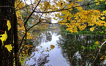 Landscape, Water, Trees HD wallpaper