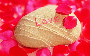 Love, Rock, Drawing, , Stone, Shell, Petal HD wallpaper