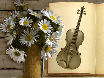 Life style, , color, new HD wallpaper