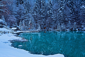 Lakeside Houses in Winter Forest, Winter, Lakes, Houses, Snow, Trees, Nature, Forests HD wallpaper