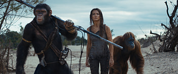 Kingdom of the Planet of the Apes, movie, Kingdom of the Planet of the Apes HD wallpaper