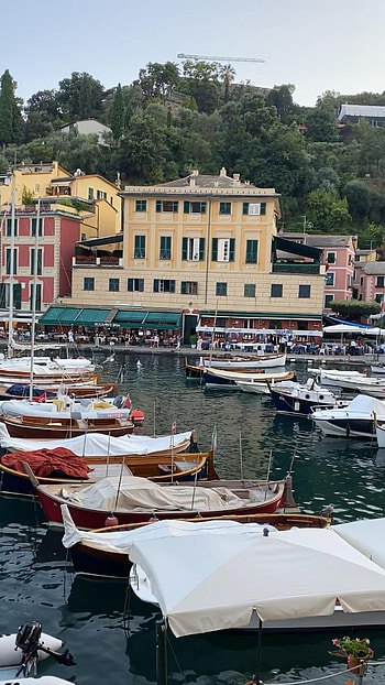 Portofino Italy, Adventure travel, Aesthetic beauty, Video exploration HD phone wallpaper