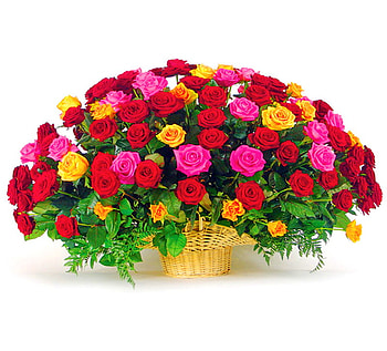 A rose for everyone, pink, ivy, roses, yellow, red, many, arrangement HD wallpaper