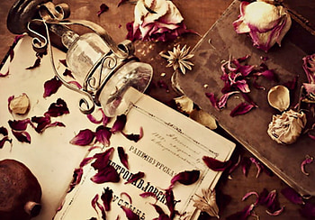 Classic Beauty, book, rosses, Classic, peddels, love, romantic, beauty HD wallpaper