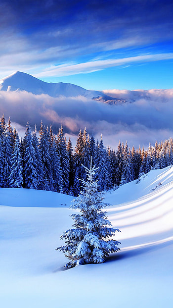 Winter , Winter HD phone wallpaper