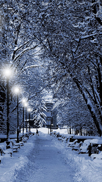 Romantic, beautiful dream land HD phone wallpaper