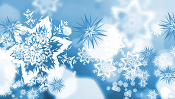 Xmas Snowflakes, winter, blue, snowflakes, snow, graphics, vector HD wallpaper