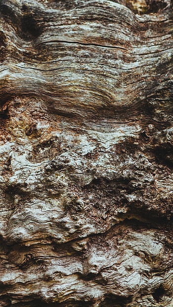 texture, nature, close-up HD phone wallpaper