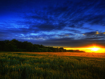 Beautiful Sunset, rays, blue, colorful, sunlight, colors, peaceful, beauty, blue sky, trees, sunset, landscape, beautiful, grass, tree, field, green, view, clouds, nature, sky, lovely, splendor HD wallpaper