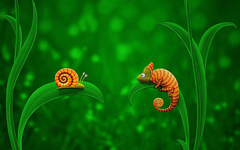 Background, Lizards HD wallpaper