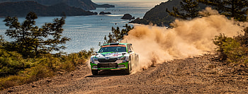 Skoda WRC 2019, Rally Raid HD wallpaper