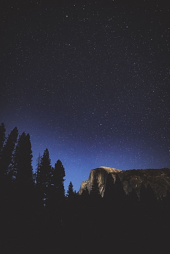 Nature, Trees, Mountains, Stars, Night, Forest HD phone wallpaper