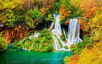 Beautiful waterfalls, trees, waterfalls, nature, mountain HD wallpaper