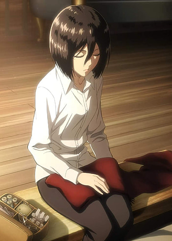 Mikasa, ackerman, attack on titan, the end season, Shingeki no Kyojin, anime HD phone wallpaper