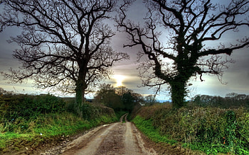 Nature, Trees, Road, Country, Secret, Mystery, Countryside, Riddle HD wallpaper