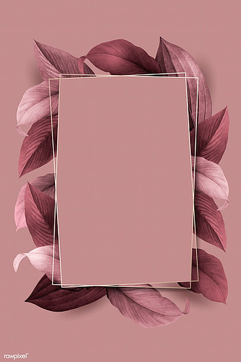 premium vector of Rectangle foliage frame on pink background. Pink background, Framed , Aesthetic HD phone wallpaper