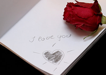 Note book, love, typography, rose HD wallpaper