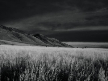 the nightmare, beatiful, fields, nature, black and white HD wallpaper