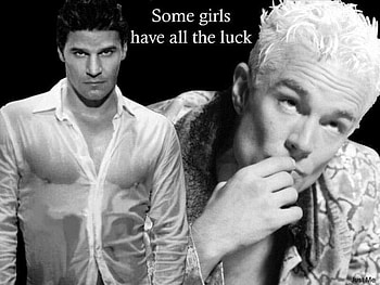 David Boreanaz and James Marsters, 2 HD wallpaper