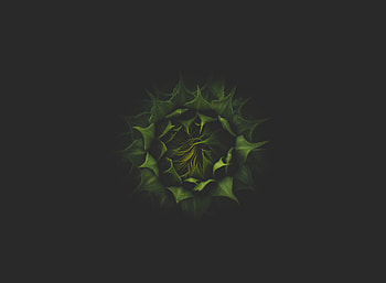 Plant, Dark, Bud, Sunflower HD wallpaper