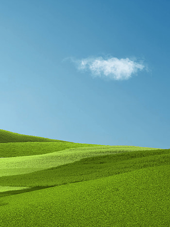 Aesthetic , Green grass, Clear sky, Natural vibes HD phone wallpaper
