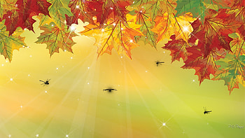 Fall Autumn Leaves, falling, leaves, maple, bugs, fall, sparkle, autumn, dragonflies, Firefox theme HD wallpaper