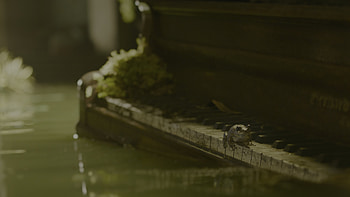 The Last Of Us (2023), TV Show, The Last Of Us HD wallpaper
