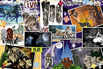 COOL WOLF COLLAGE, wolf collage, nature, wolves, collage HD wallpaper